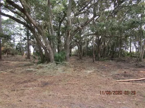2656 Hwy 98 E, Carrabelle, FL 32322 photo 14