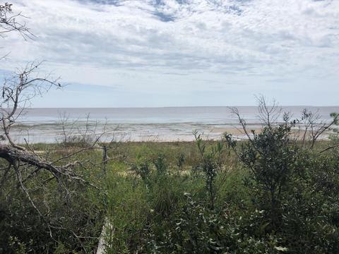 3010 Pristine Dr, Carrabelle, FL 32322 photo 1