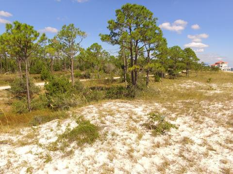 2874 Hidden Beaches Rd, Carrabelle, FL 32322 photo 6