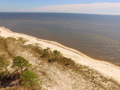 2874 Hidden Beaches Rd, Carrabelle, FL 32322 photo 8