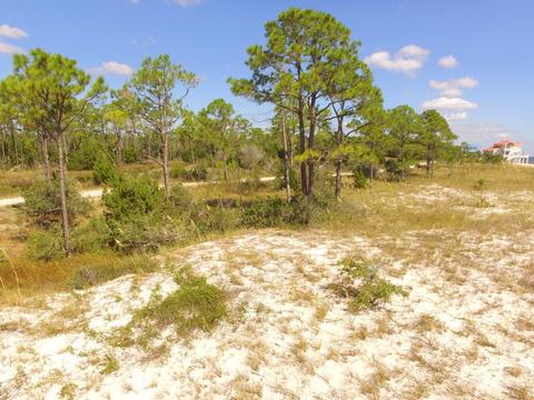 2874 Hidden Beaches Rd, Carrabelle, FL 32322 photo 10