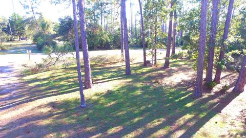 546 River Rd, Carrabelle, FL 32322 photo 39