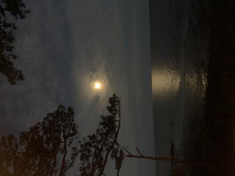 2872 Hwy 98 E, Carrabelle, FL 32322 photo 3
