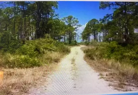 147 Boaters Rd, Carrabelle, FL 32322 photo 2