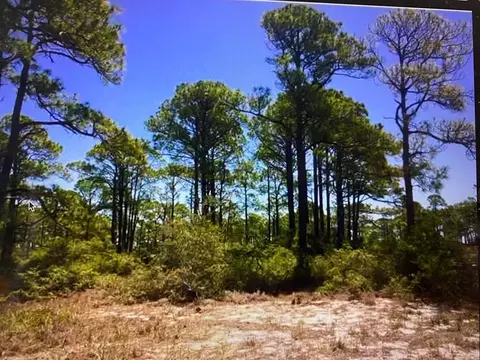 147 Boaters Rd, Carrabelle, FL 32322 photo 1