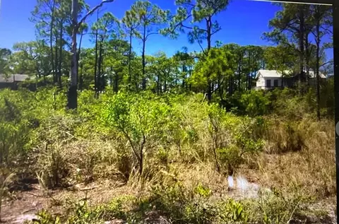 147 Boaters Rd, Carrabelle, FL 32322 photo 4