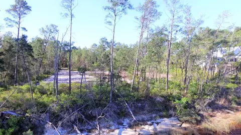 508 River Rd, Carrabelle, FL 32322 photo 12