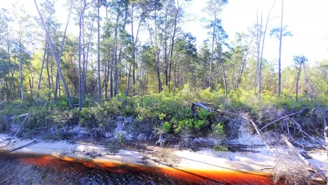 508 River Rd, Carrabelle, FL 32322 photo 11