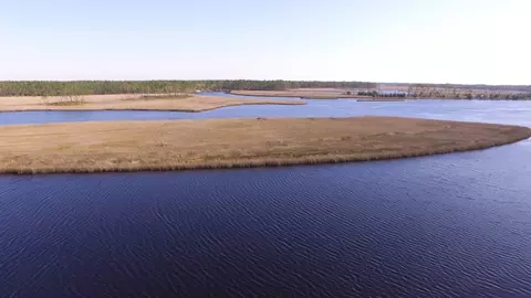 508 River Rd, Carrabelle, FL 32322 photo 7