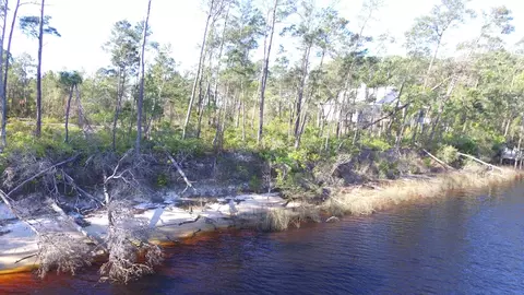 508 River Rd, Carrabelle, FL 32322 photo 10