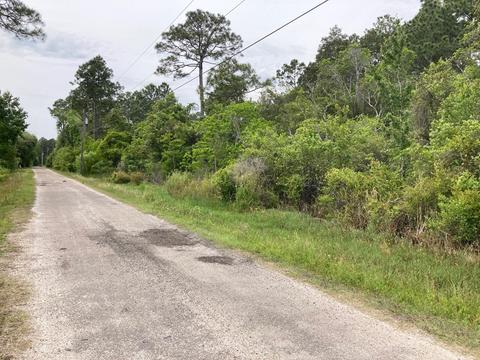 133 West Dr, Carrabelle, FL 32322 photo 2