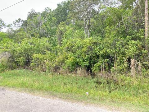 133 West Dr, Carrabelle, FL 32322 photo 3