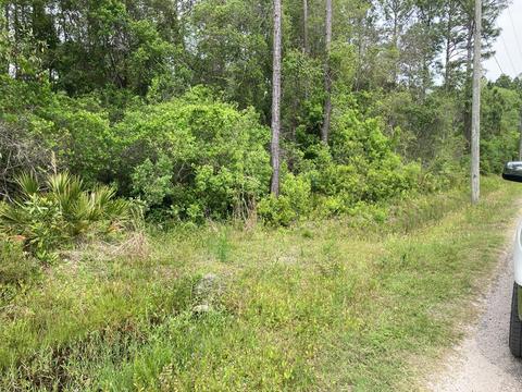 133 West Dr, Carrabelle, FL 32322 photo 1