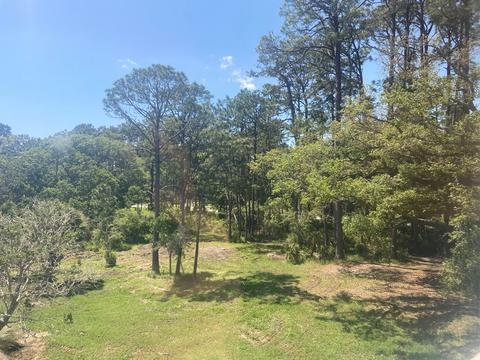 2676 Hwy 98 E, Carrabelle, FL 32322 photo 4