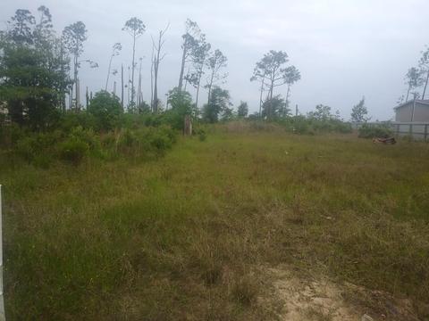 579 N Long St, Overstreet, FL 32456