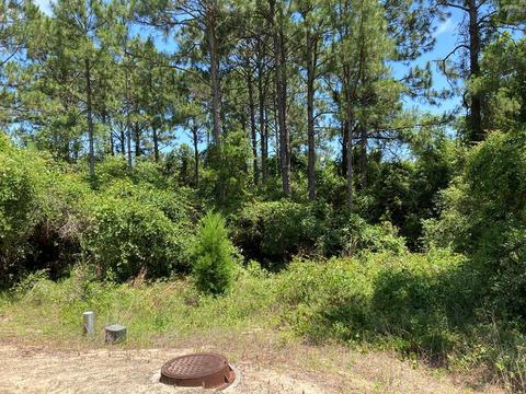 136 Spoonbill Ct, Carrabelle, FL 32322 photo 1