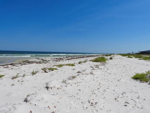 254 Gulf Shore Dr, Carrabelle, FL 32322 photo 7