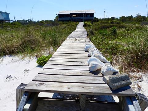 254 Gulf Shore Dr, Carrabelle, FL 32322 photo 5
