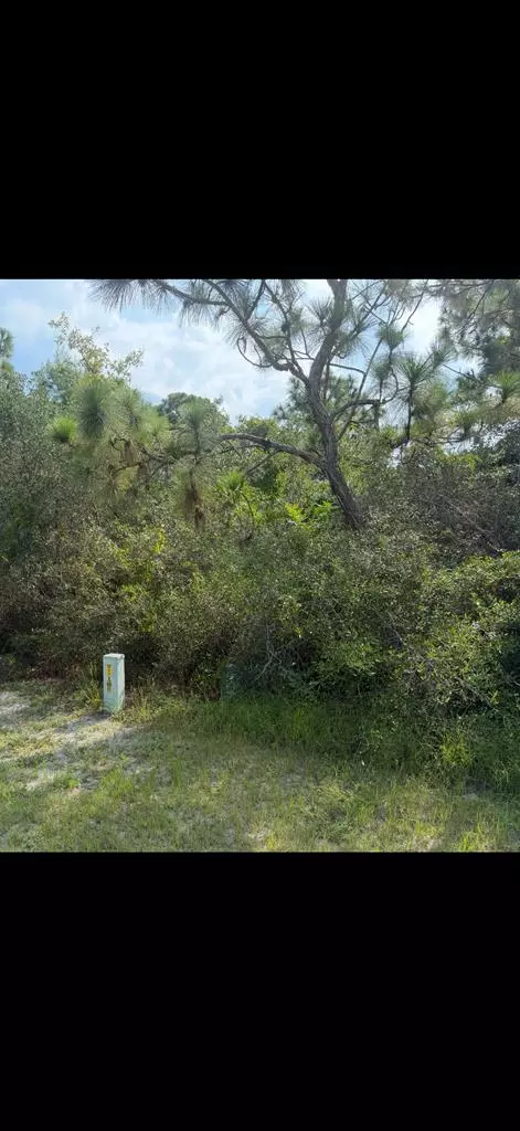 110 Anhinga Trl, Carrabelle, FL 32322