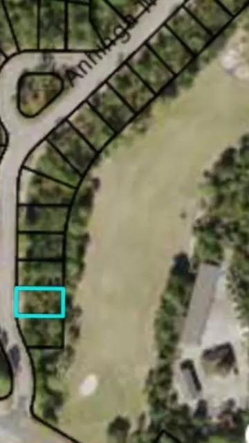 110 Anhinga Trl, Carrabelle, FL 32322 photo 2