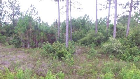 1843 Beacon St, Carrabelle, FL 32322 photo 1