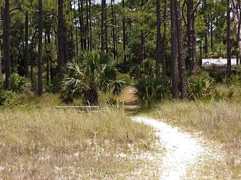 1723 Spacey Dr, Carrabelle, FL 32322 photo 13