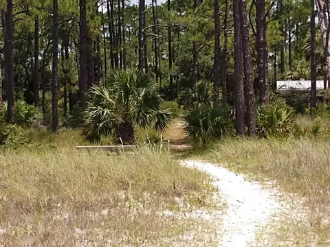 1723 Spacey Dr, Carrabelle, FL 32322 photo 13