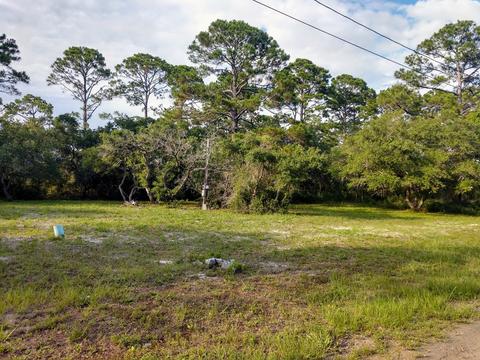 1723 Spacey Dr, Carrabelle, FL 32322 photo 5