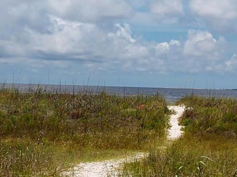 1723 Spacey Dr, Carrabelle, FL 32322 photo 14