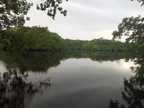 205 Longleaf Rd, Eastpoint, FL 32328 photo 4