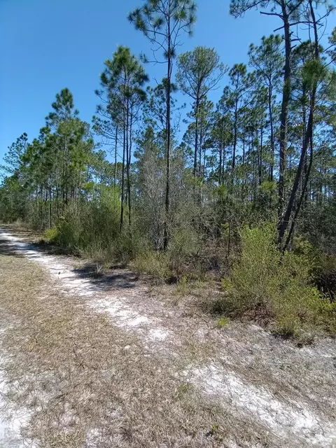 205 Longleaf Rd, Eastpoint, FL 32328 photo 1