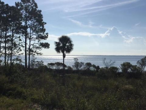 2796 Hwy 98 E, Carrabelle, FL 32322 photo 1