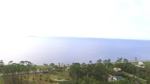 131 Shell Bay Ct, Carrabelle, FL 32322 photo 12