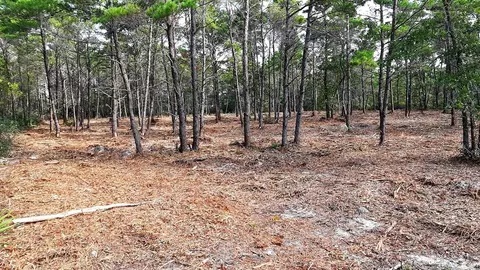 131 Shell Bay Ct, Carrabelle, FL 32322 photo 3