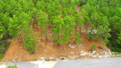 131 Shell Bay Ct, Carrabelle, FL 32322 photo 6