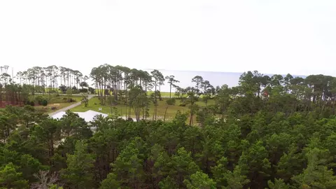 131 Shell Bay Ct, Carrabelle, FL 32322 photo 11