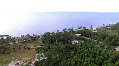 131 Shell Bay Ct, Carrabelle, FL 32322 photo 13