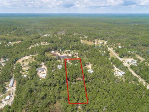 2066 Lighthouse Rd, Carrabelle, FL 32322 photo 48