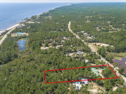 2066 Lighthouse Rd, Carrabelle, FL 32322 photo 50