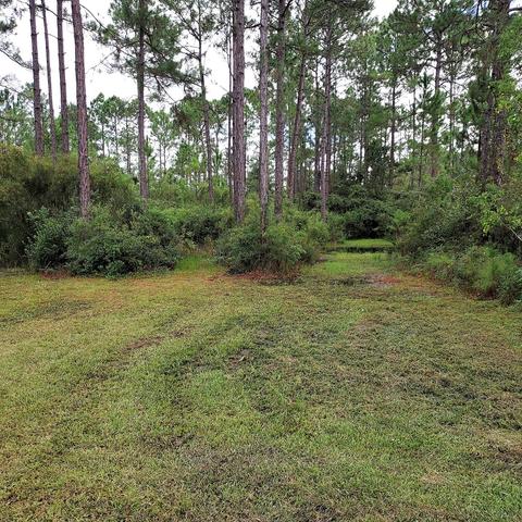 124 Cora Mae Rd, Carrabelle, FL 32322 photo 31