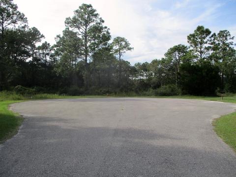 234 Hinton St, Carrabelle, FL 32322 photo 1