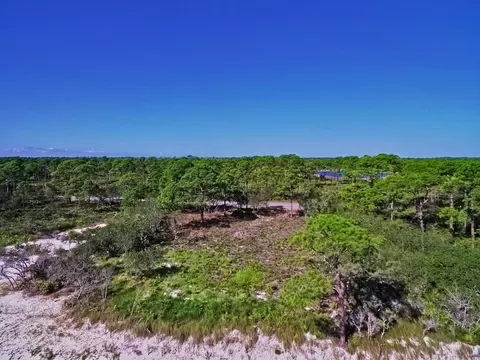 408 Bald Point Rd, Alligator Point, FL 32346 photo 13