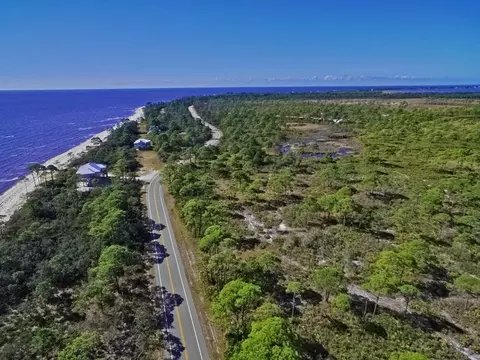 408 Bald Point Rd, Alligator Point, FL 32346 photo 4