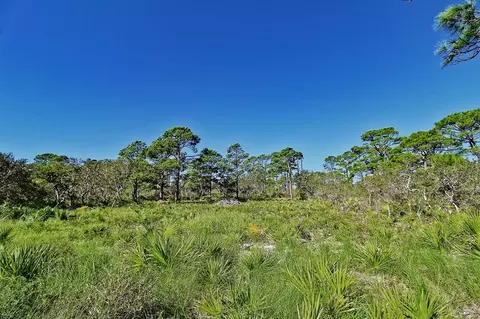 408 Bald Point Rd, Alligator Point, FL 32346 photo 22