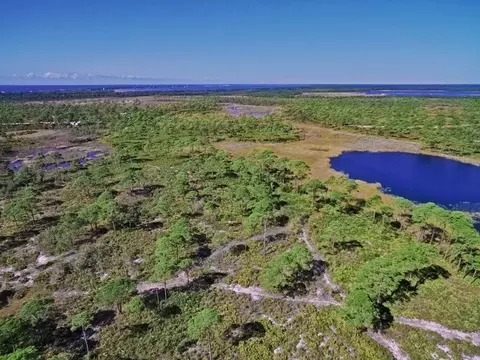408 Bald Point Rd, Alligator Point, FL 32346 photo 5