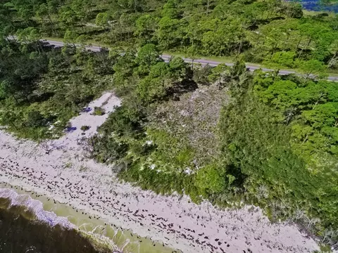 408 Bald Point Rd, Alligator Point, FL 32346 photo 14