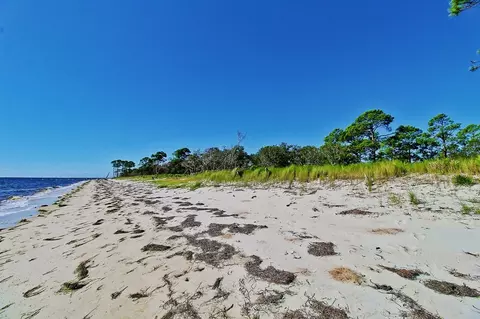408 Bald Point Rd, Alligator Point, FL 32346 photo 19
