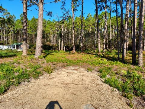 3161 Hwy 98 E, Carrabelle, FL 32322 photo 4