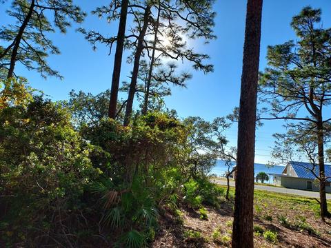 3161 Hwy 98 E, Carrabelle, FL 32322 photo 12