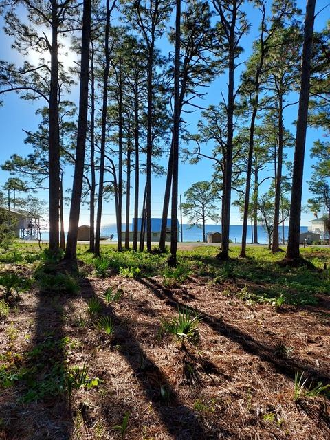 3161 Hwy 98 E, Carrabelle, FL 32322 photo 8